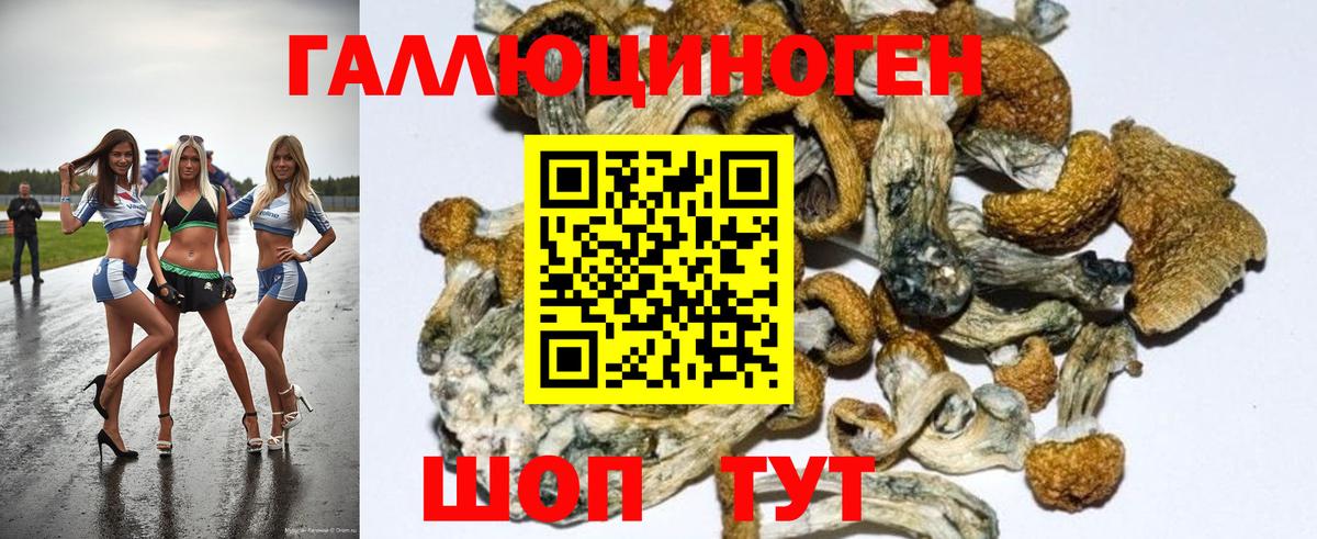 Псилоцибиновые грибы мухоморы Отрадный