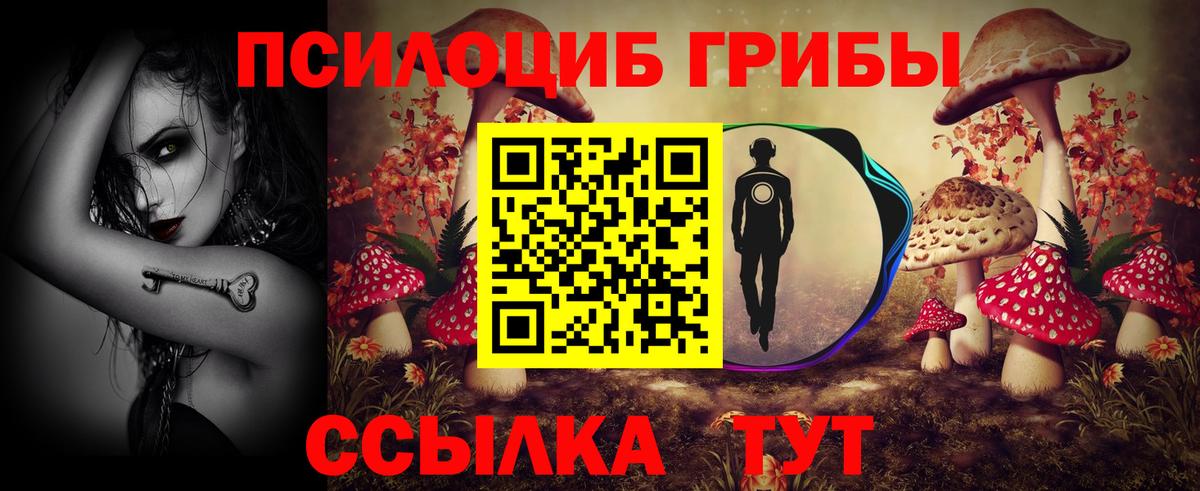 Отрадный  Псилоцибиновые грибы мухоморы  где купить наркоту  Вход с VPN 
